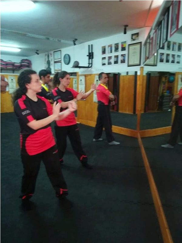 Kung Fu Academy di Sifu Mezzone Caserta Seminario di Weng Chun Tang Yik con GM Sunny So in Italia presso la scuola di arti marziali di wing chun e kung fu a Caserta (2)